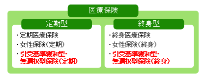 医療保険の分類イメージの図