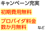 キャンペーン充実 初期費用無料 プロバイダ料金数か月無料