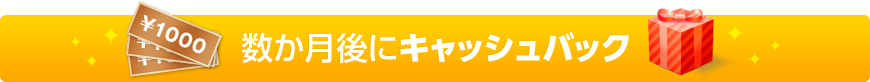 数か月後にキャッシュバック