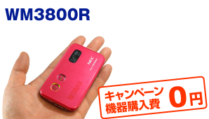WM3800R