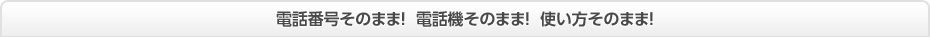 電話番号そのまま! 電話機そのまま! 使い方そのまま!
