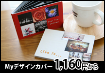 My�f�U�C���J�o�[ 1,160�~����