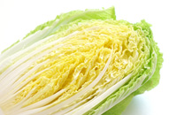 白菜