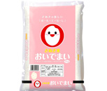 おいでまい