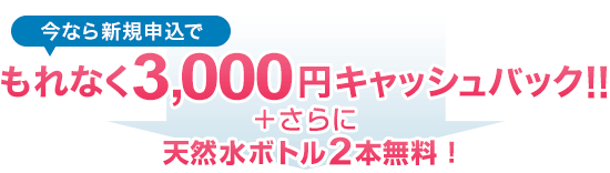 今なら新規申込でもれなく3,000円キャッシュバック!!