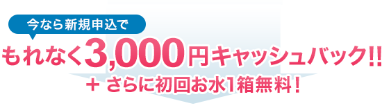 今なら新規申込でもれなく3,000円キャッシュバック!!