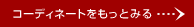 �R�[�f�B�l�[�g�������ƌ���