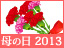 ��̓����W2013�`�K����͂���l�C�v���[���g�����L���O�`