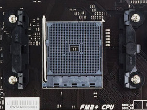 AMD