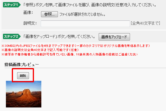 画像投稿