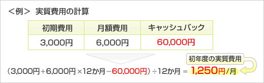 実質費用の例