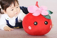 �����s����ق��؂����l�ߍ��킹�Z�b�g