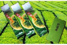 �v�c�������������