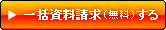 �ꊇ���������i�����j����