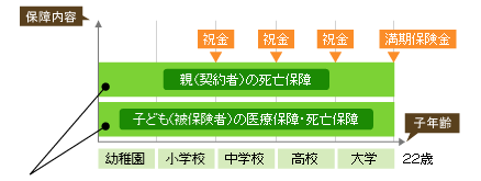 学資保険の概念図(医療・死亡保障あり、保険期間22歳の場合)