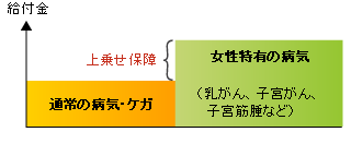 女性保険の図
