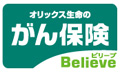 ����ی� Believe[�r���[�u]�i�I���b�N�X�����̂���ی��j