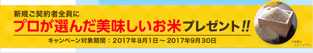 新規ご契約者全員にプロが選んだ美味しいお米プレゼント!!! ※年間保険料5,000円未満の場合は500円分 キャンペーン実施期間:2017年8月1日〜2017年9月30日