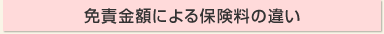 �ƐӋ��z�ɂ��ی����̈Ⴂ