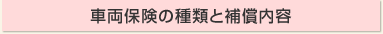 �ԗ��ی��̎�ނƕ⏞���e