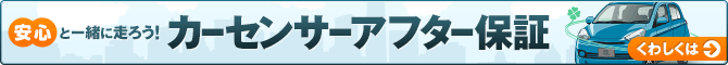 ���S�ƈꏏ�ɑ��낤�I �J�[�Z���T�[�A�t�^�[�ۏ�