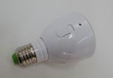 停電しても光を放つ魔法のような電球をチェック