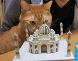 のり・はさみナシで世界の建築物が作れる3Dパズル