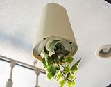 植物を逆さに吊るしちゃう? 不思議でおしゃれなプランター