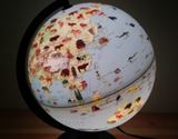 建造物や生き物も学べるオシャレなライトアップ地球儀