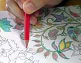 大人の塗り絵にハマるなら、色鉛筆にもこだわらなきゃね