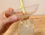 分裂するから水やりカンタン♪ 水耕栽培ができちゃう花瓶