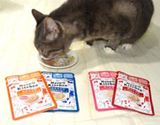 まるでスープ。グルメなネコちゃんも満足するキャットフード