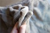 ネットで19万枚売れた「伝説の毛布」をお取り寄せしてみた…!