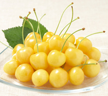 ���R�сi��������ɂ����j
