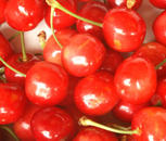�L�сi�䂽���ɂ����j