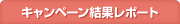 キャンペーン結果レポート