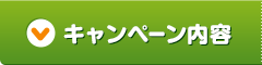 キャンペーン内容