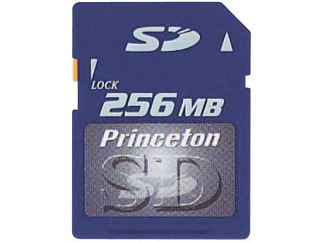PSD-256 (256MB) �̐��i�摜