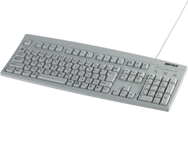 BSKBP01LG (���C�g�O���[) �̐��i�摜