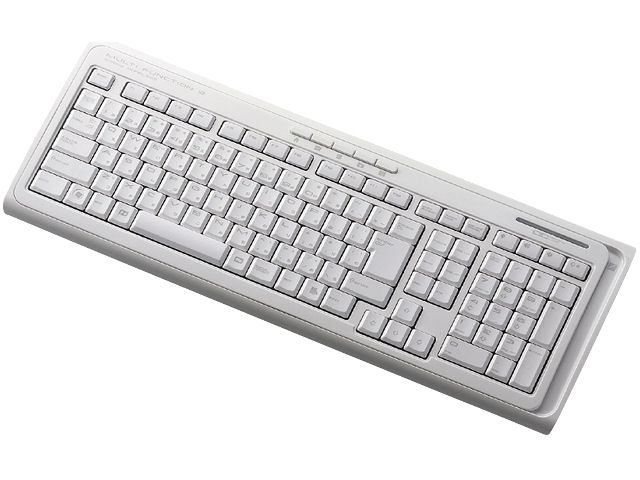 TK-FDP001WH(�z���C�g) �̐��i�摜