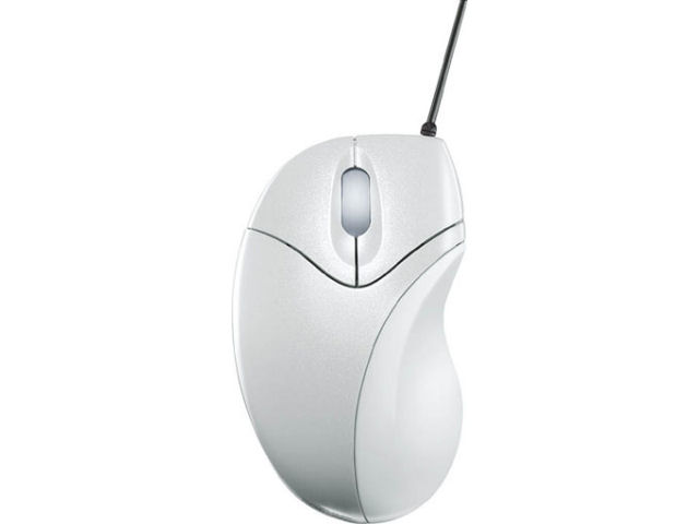 ���t�e�B�}�E�X EAM-UMLF1W (�p�[���z���C�g) �̐��i�摜