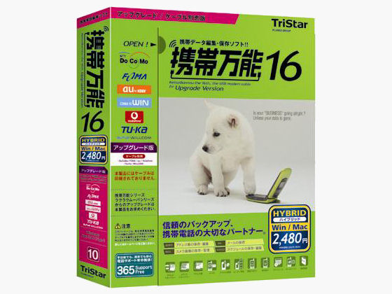 �g�і��\16 �A�b�v�O���[�h�� �̐��i�摜