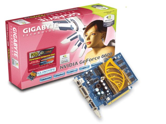 GV-NX66128DP (PCIExp 128MB) �̐��i�摜