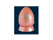 �z�[���X�^�[ BIRTHDAY [1�� �K�[�l�b�g] �̐��i�摜