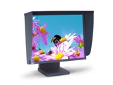LaCie 321 LCD Monitor [21.3�C���`] ���i�摜