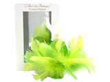 �j�i ���b�` ���[���f���^�� �N�`���[���G�f�B�V���� EDT 50ml ���i�摜