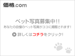 ペット写真募集中!!