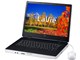 LaVie L �X�^���_�[�h�^�C�v LL550/RG6B