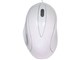 LS1600-PWH
