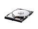 HD040GJ (40G SATAII300 7200)
